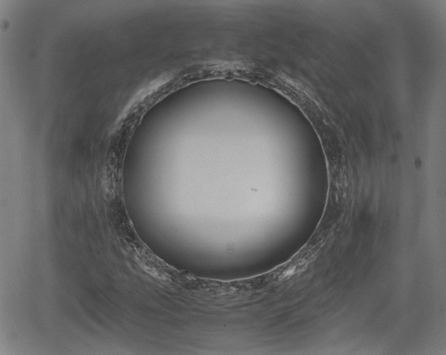 X0000062171207200512161242