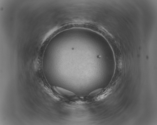 X0000062171208200512161242