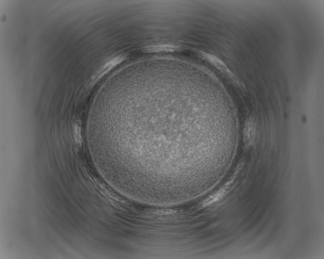 X0000062171209200512161242