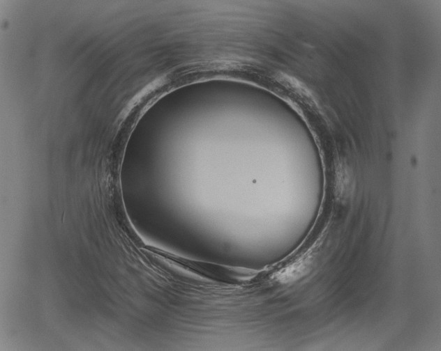 X0000062171210200512161242