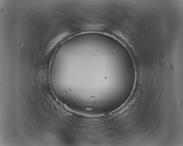 X0000062171211200512161242