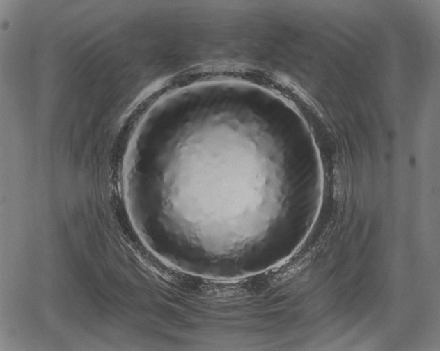 X0000062171213200512161242