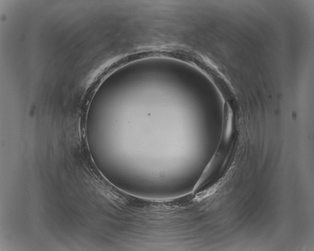 X0000062171214200512161242