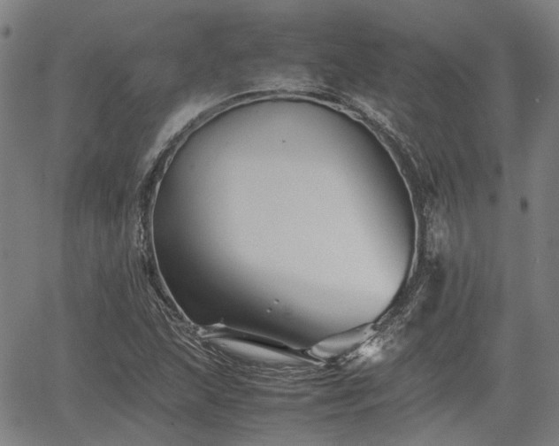 X0000062171215200512161242