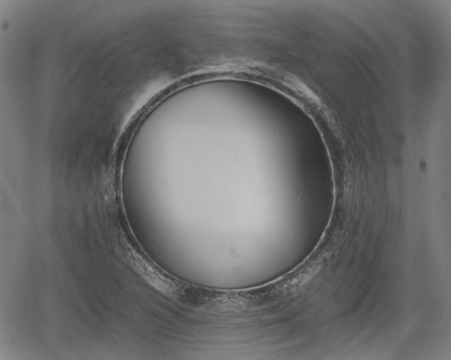 X0000062171216200512161242