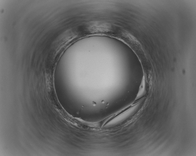 X0000062171217200512161242