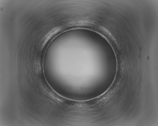 X0000062171218200512161243