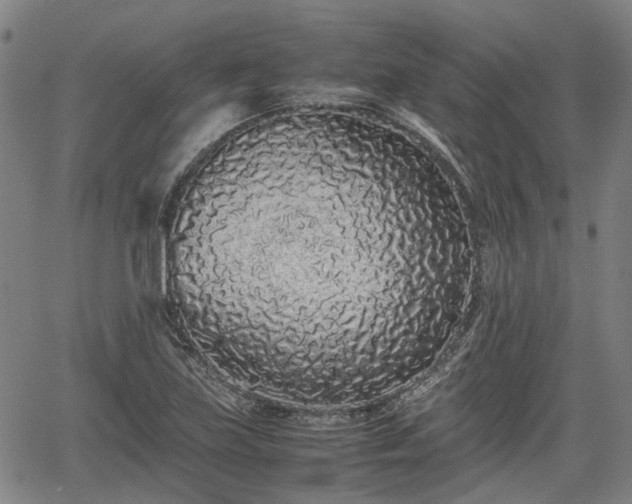 X0000062171219200512161243