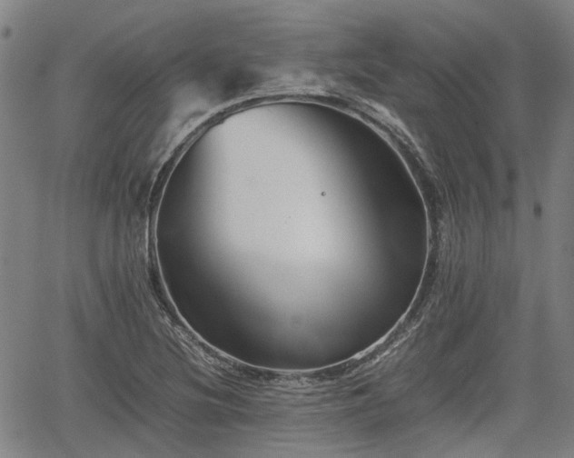 X0000062171220200512161243