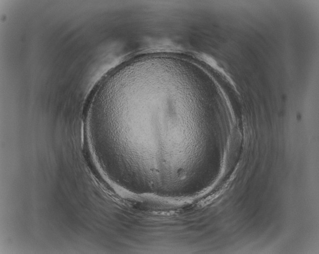 X0000062171221200512161243