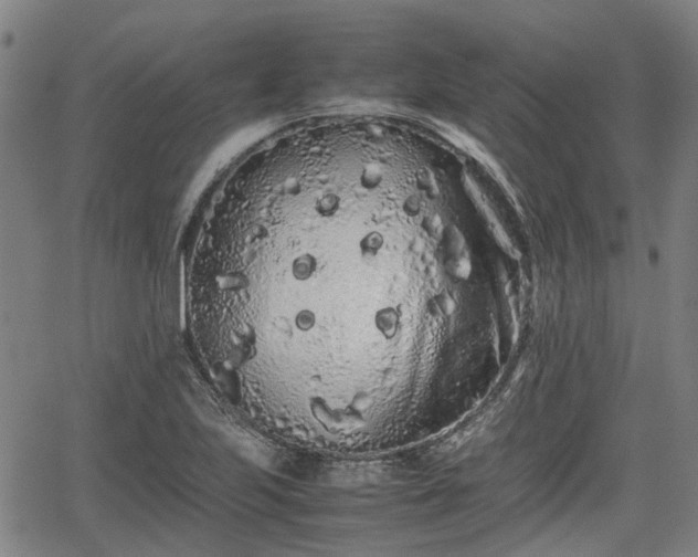 X0000062171223200512161243