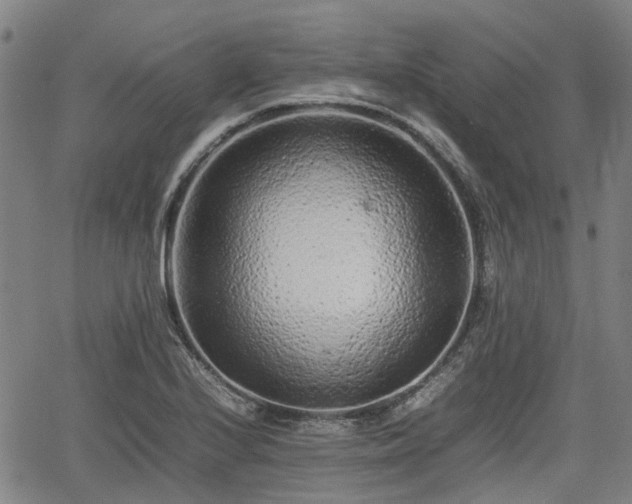 X0000062171224200512161243