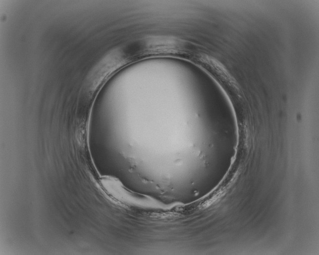 X0000062171225200512161243