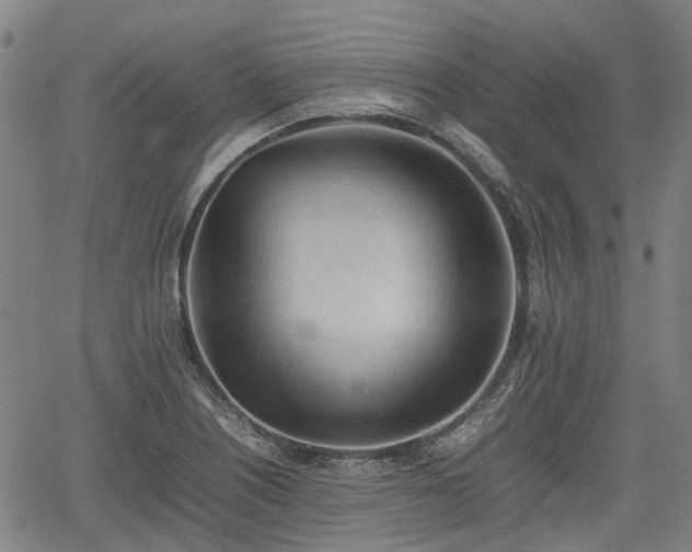 X0000062171226200512161243