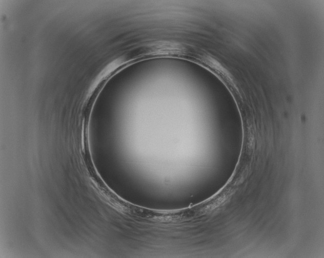 X0000062171227200512161243