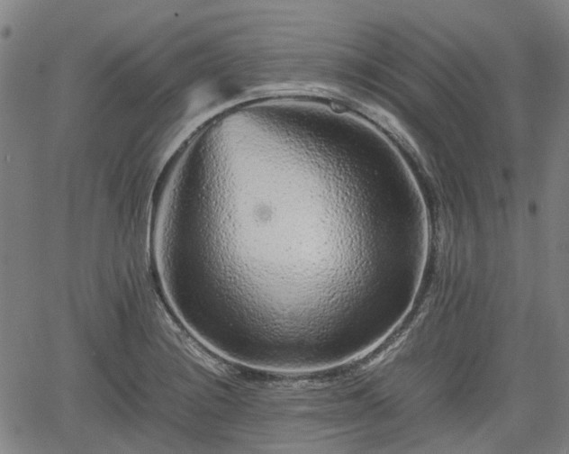 X0000062171228200512161243