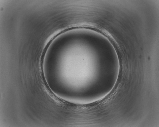 X0000062171230200512161243