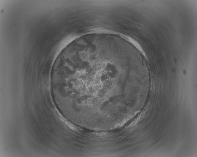 X0000062171231200512161243