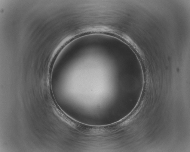 X0000062171232200512161243