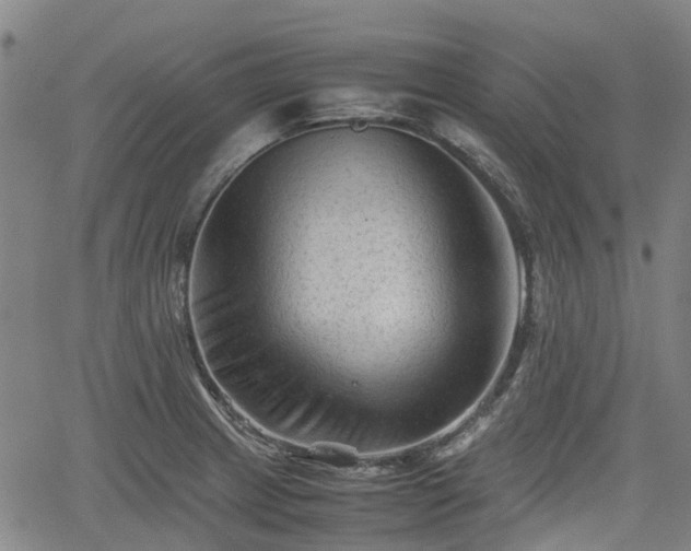 X0000062171233200512161243