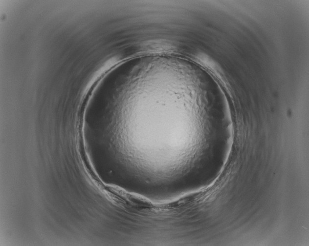 X0000062171235200512161243