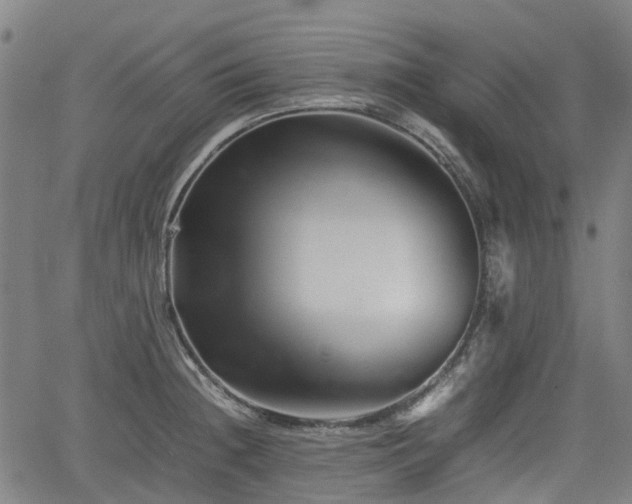 X0000062171236200512161243