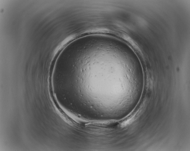 X0000062171237200512161243