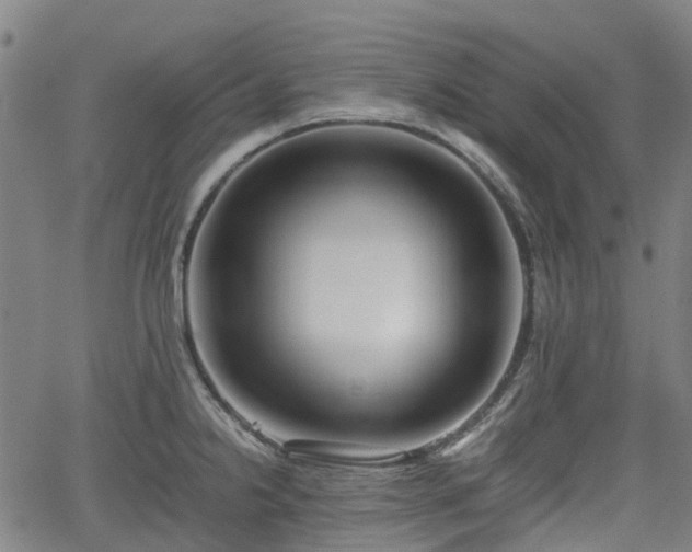 X0000062171238200512161243