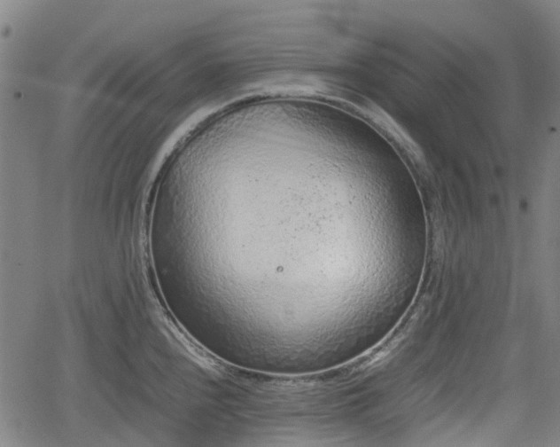 X0000062171240200512161243