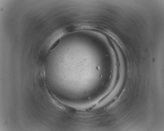 X0000062171241200512161243