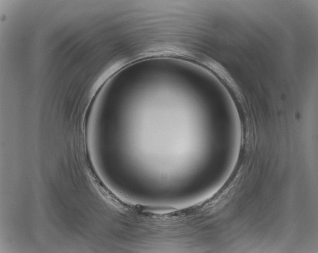 X0000062171242200512161243