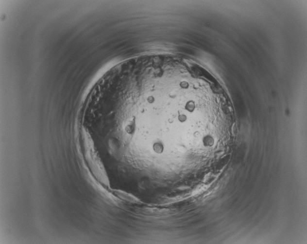 X0000062171243200512161243