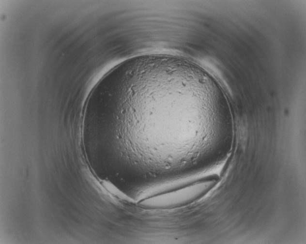 X0000062171244200512161243