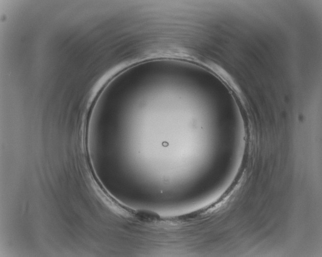 X0000062171246200512161243