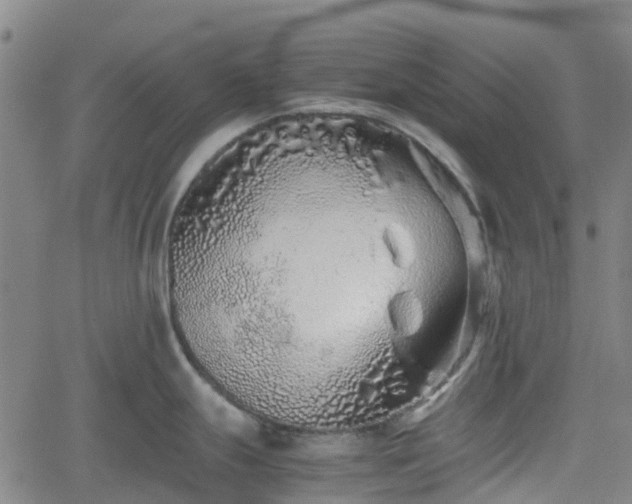 X0000062171247200512161243