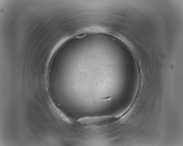 X0000062171248200512161243