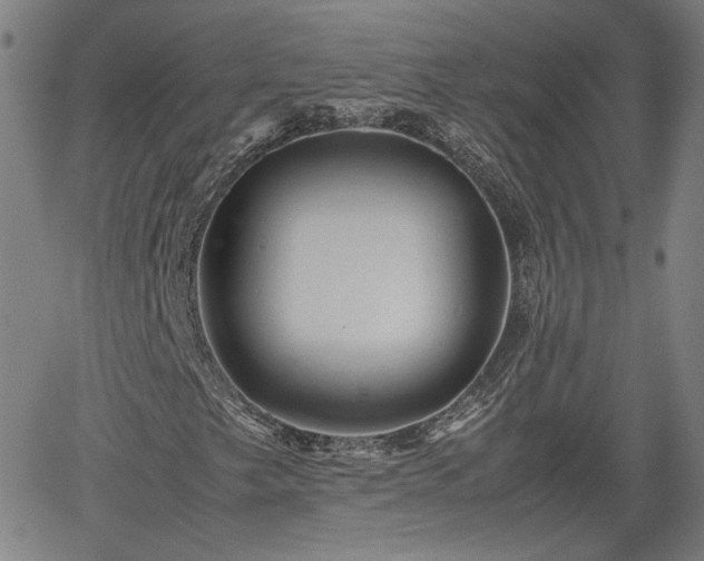 X0000062171249200512161242