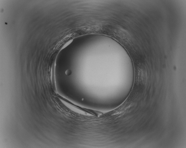 X0000062171250200512161242