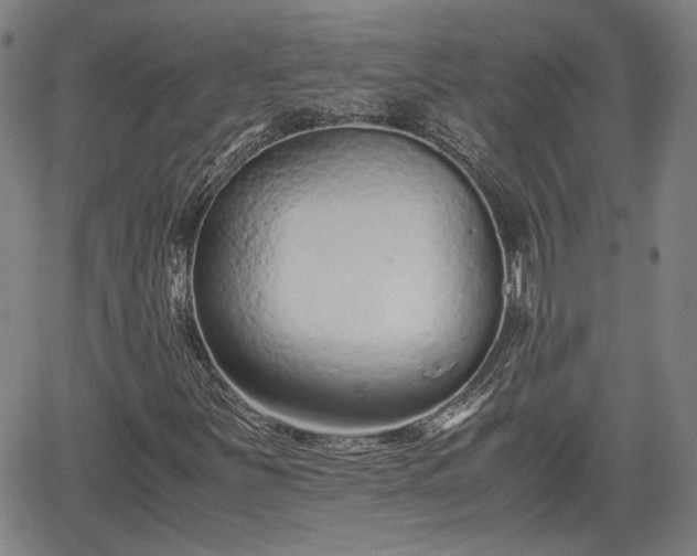 X0000062171251200512161242