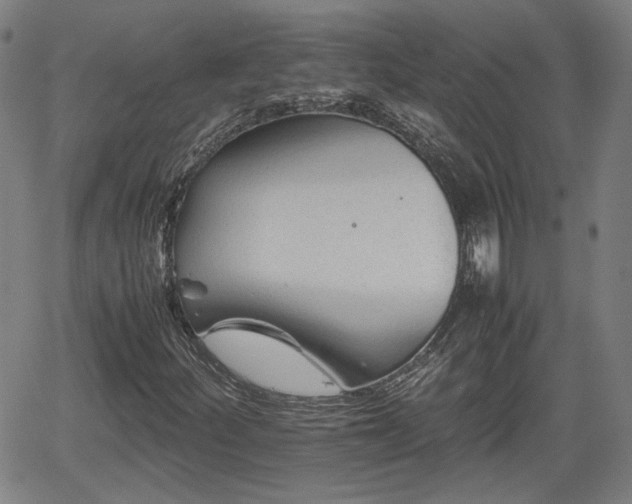 X0000062171252200512161242