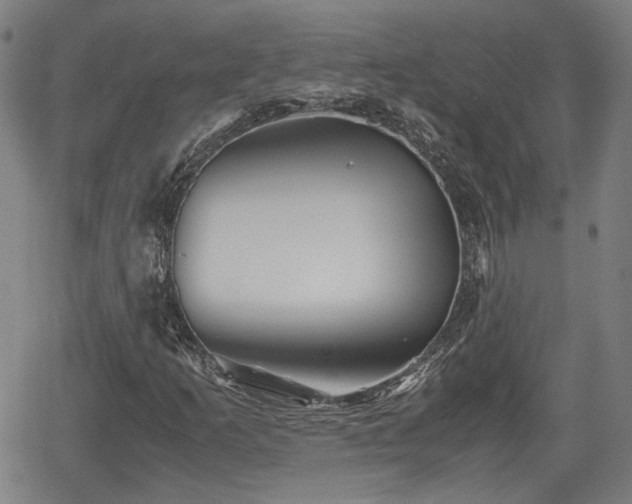 X0000062171253200512161242