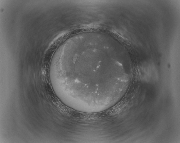 X0000062171254200512161242