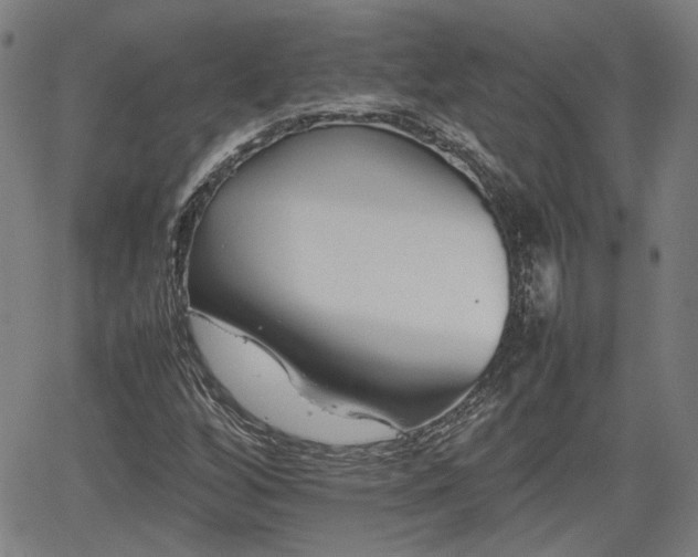 X0000062171256200512161242