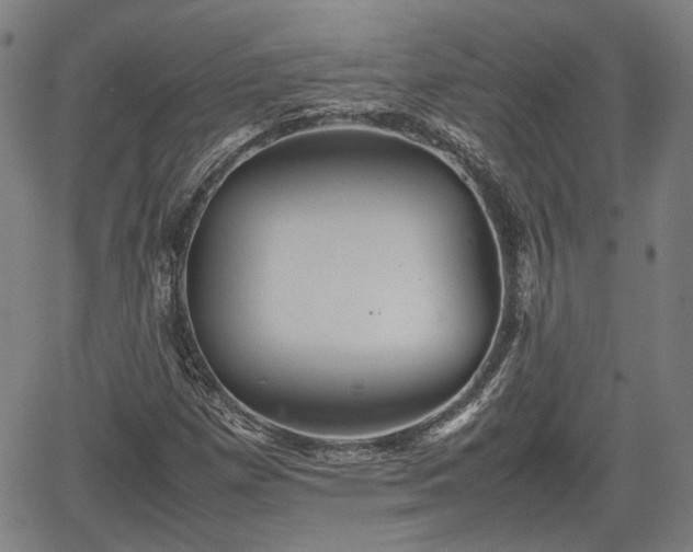 X0000062171257200512161242