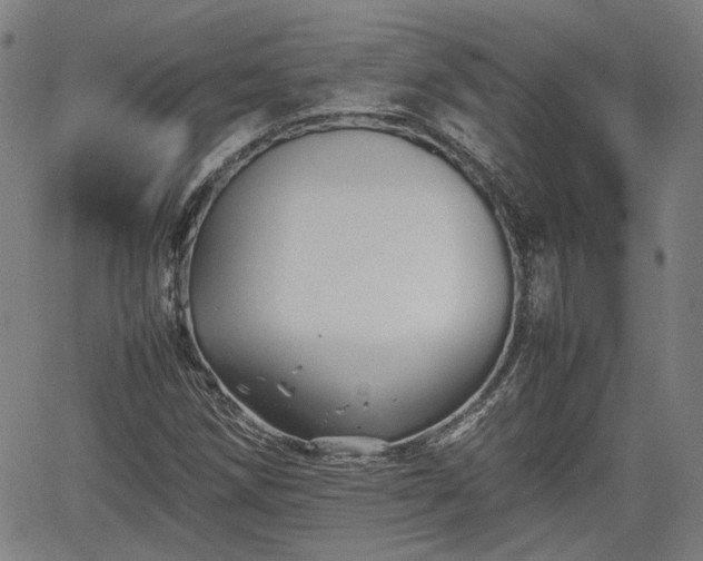 X0000062171258200512161242