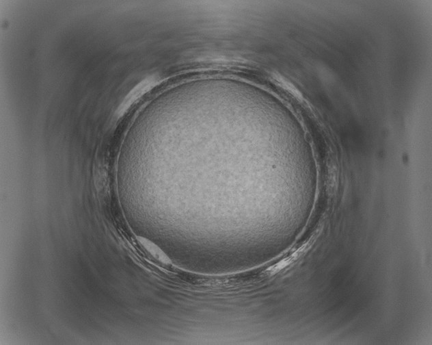 X0000062171259200512161242