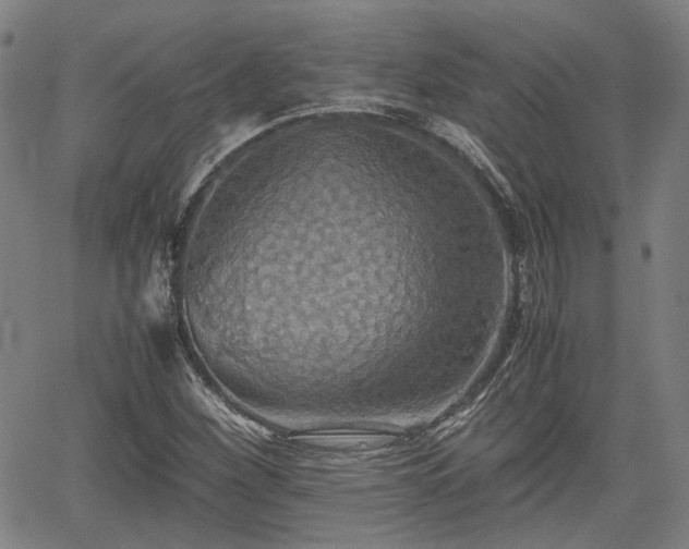 X0000062171260200512161242