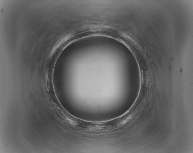 X0000062171261200512161242