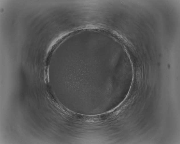 X0000062171262200512161242