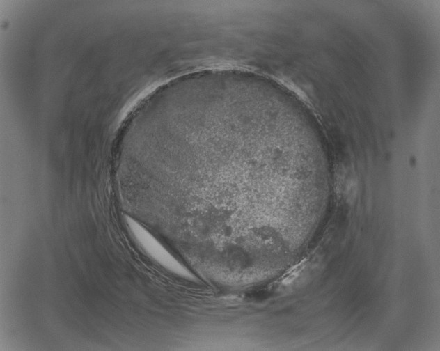 X0000062171263200512161242